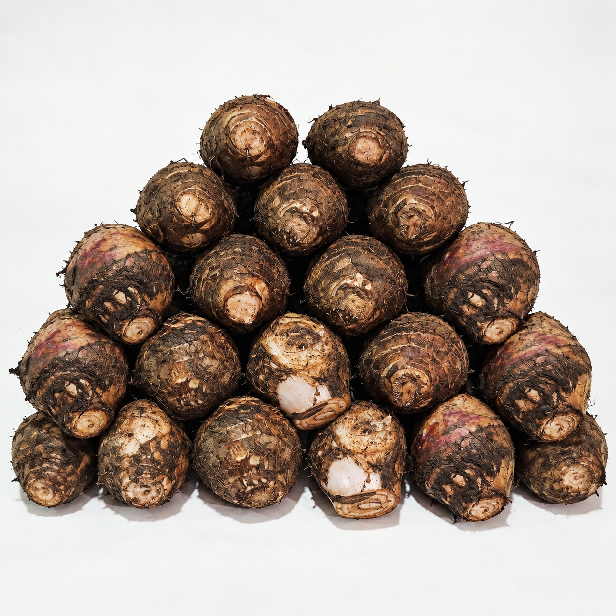20 pcs Lakatan bundle